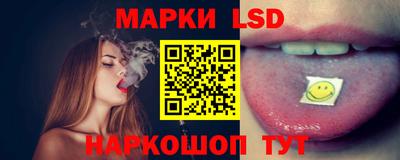 стаф Можга