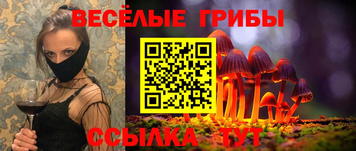 Галлюциногенные грибы Psilocybe  Вход с VPN  Псилоцибиновые грибы Cubensis  Зима 