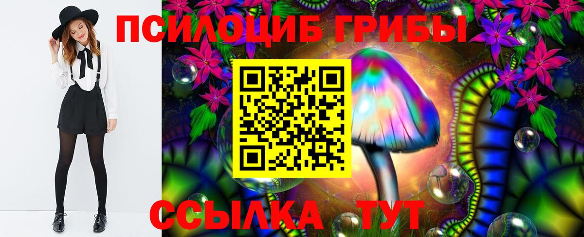 Галлюциногенные грибы Psilocybe  Зима 